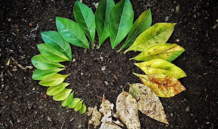 Kreativität durch Stressabbau